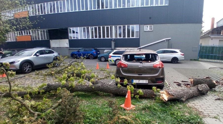 17. dubna, 11.40