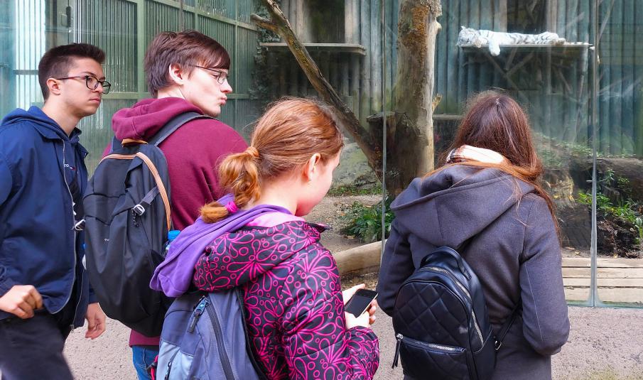 ZOO