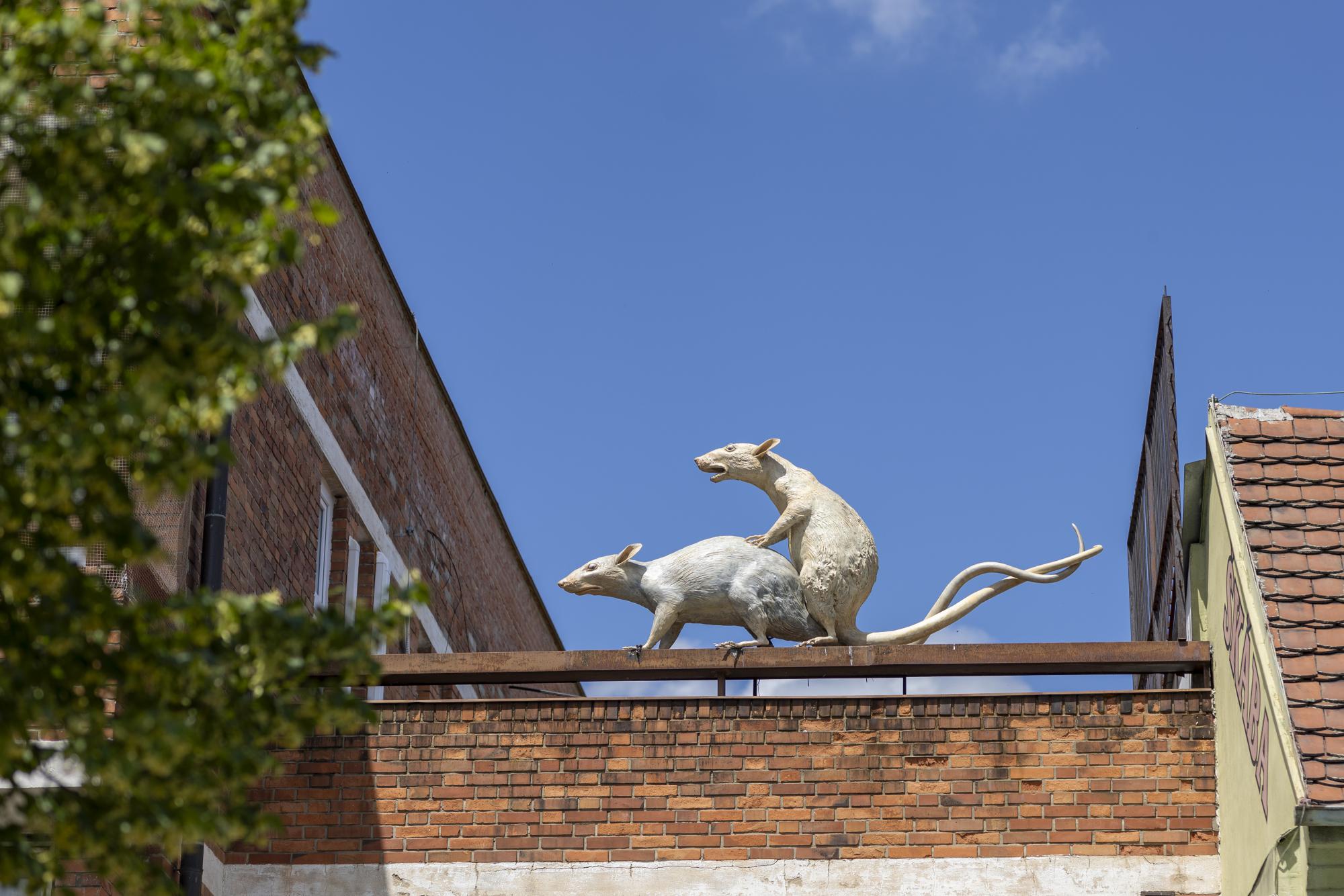 Revolution Evolution / Kryštof Hošek<BR>