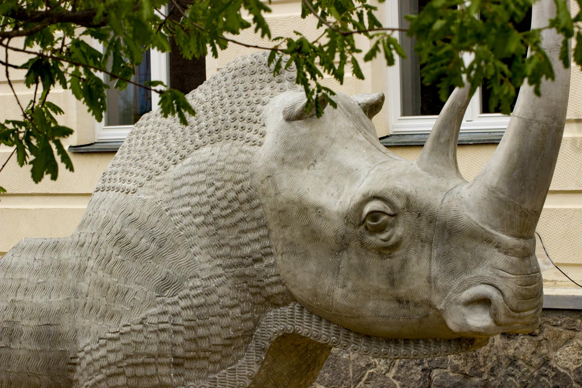 Na děti se tu těší srstnatý nosorožec-skluzavka