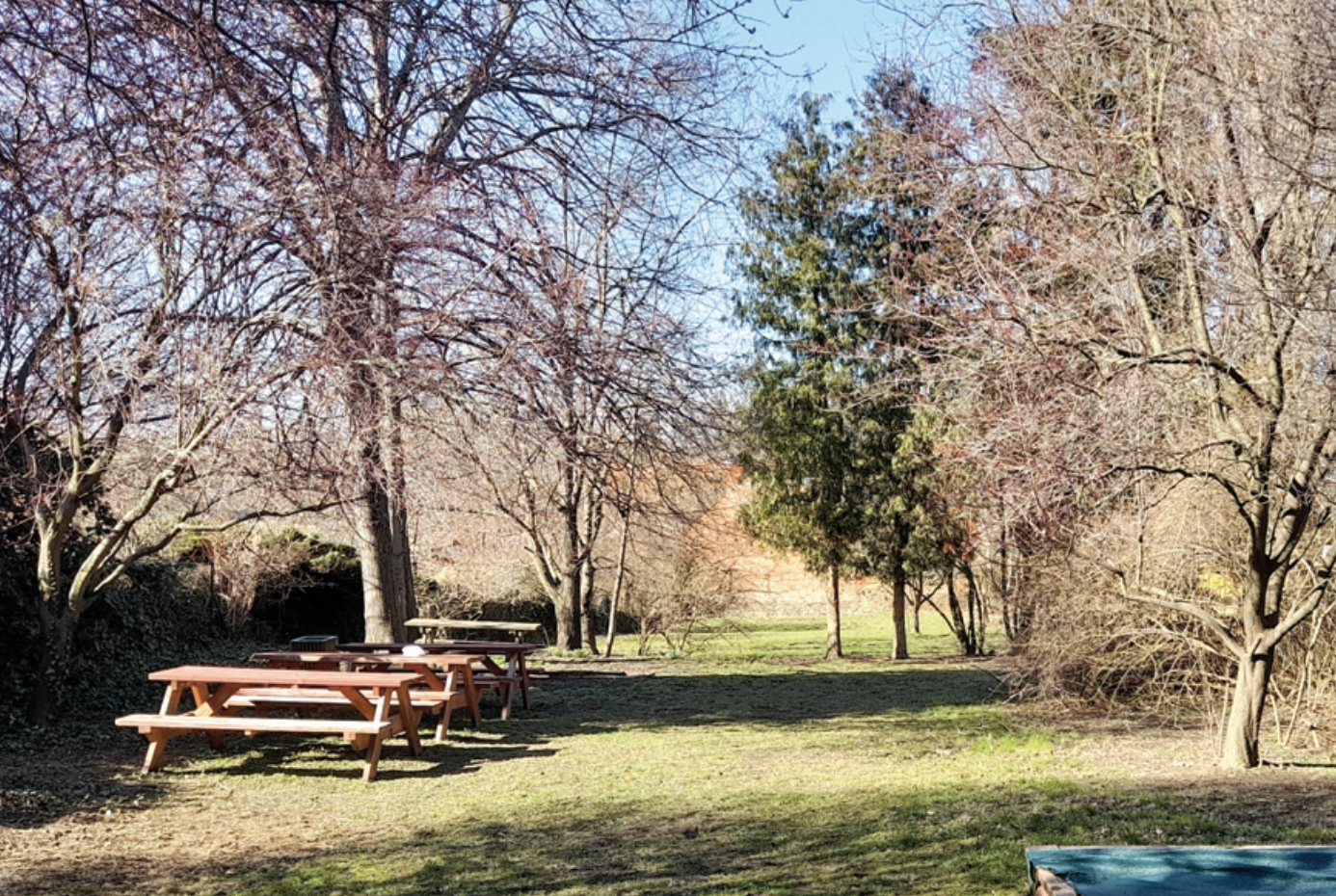 Revitalizace se dočká i zahrada za ZUŠ.