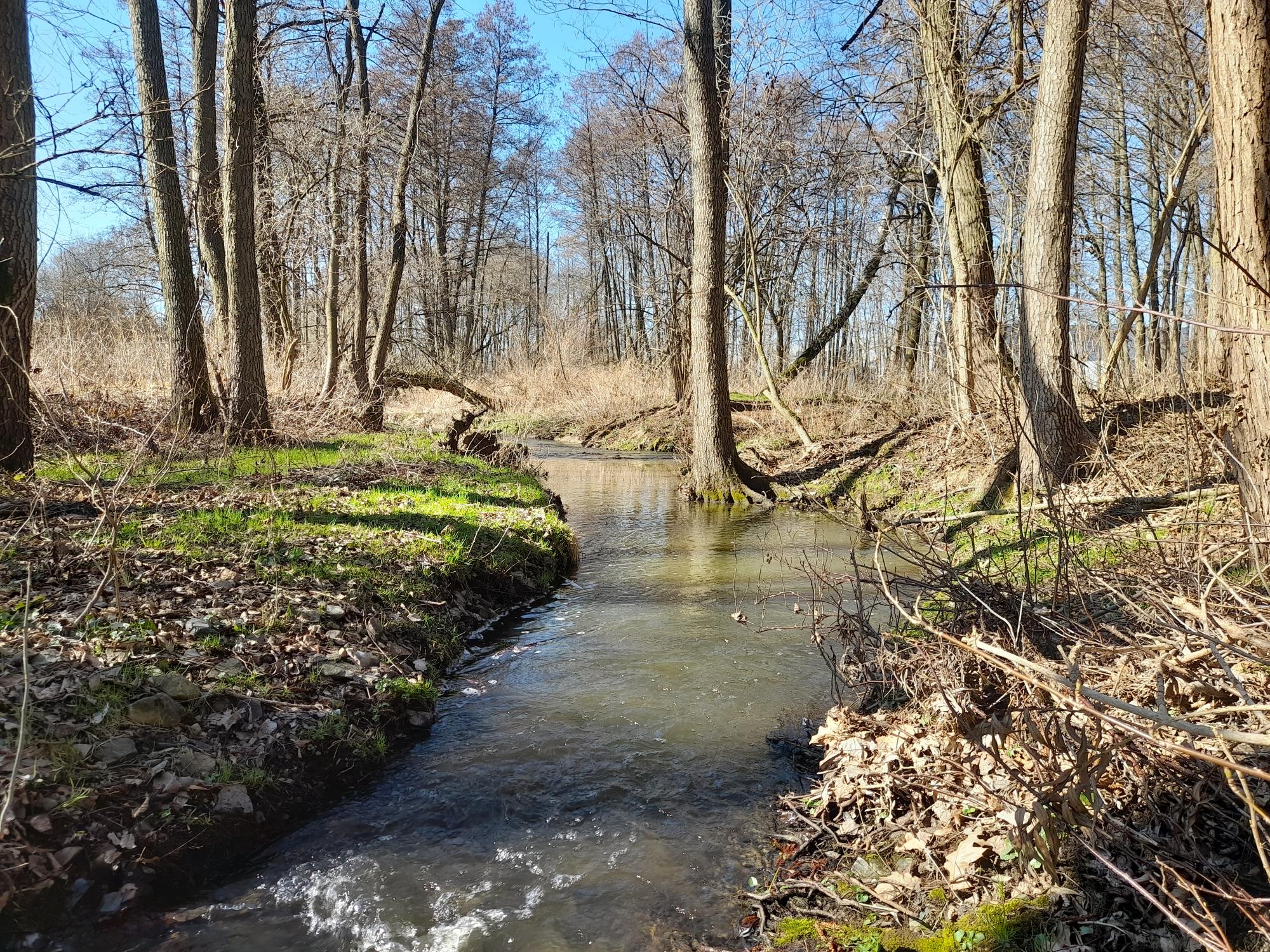 Projekt Pohodové údolí II otevře krásnou lokalitu kolem Říčanského potoka u zimního stadionu a skautské klubovny.