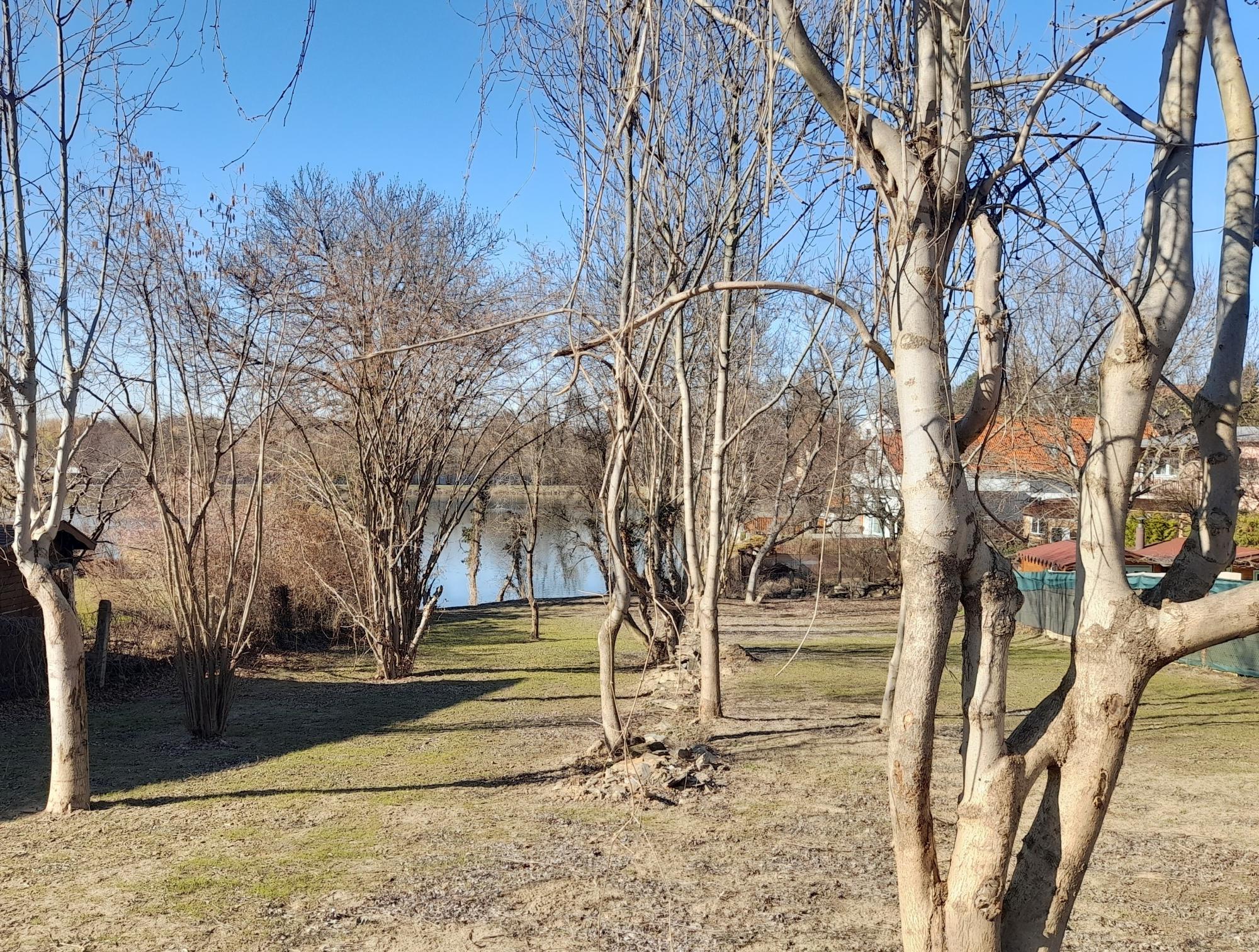 Pro veřejnost upravujeme zahradu za poštou.