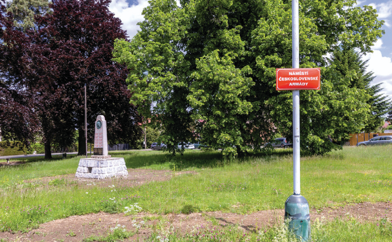 Dlouhá léta neudržovaný park si zaslouží důkladnou proměnu.