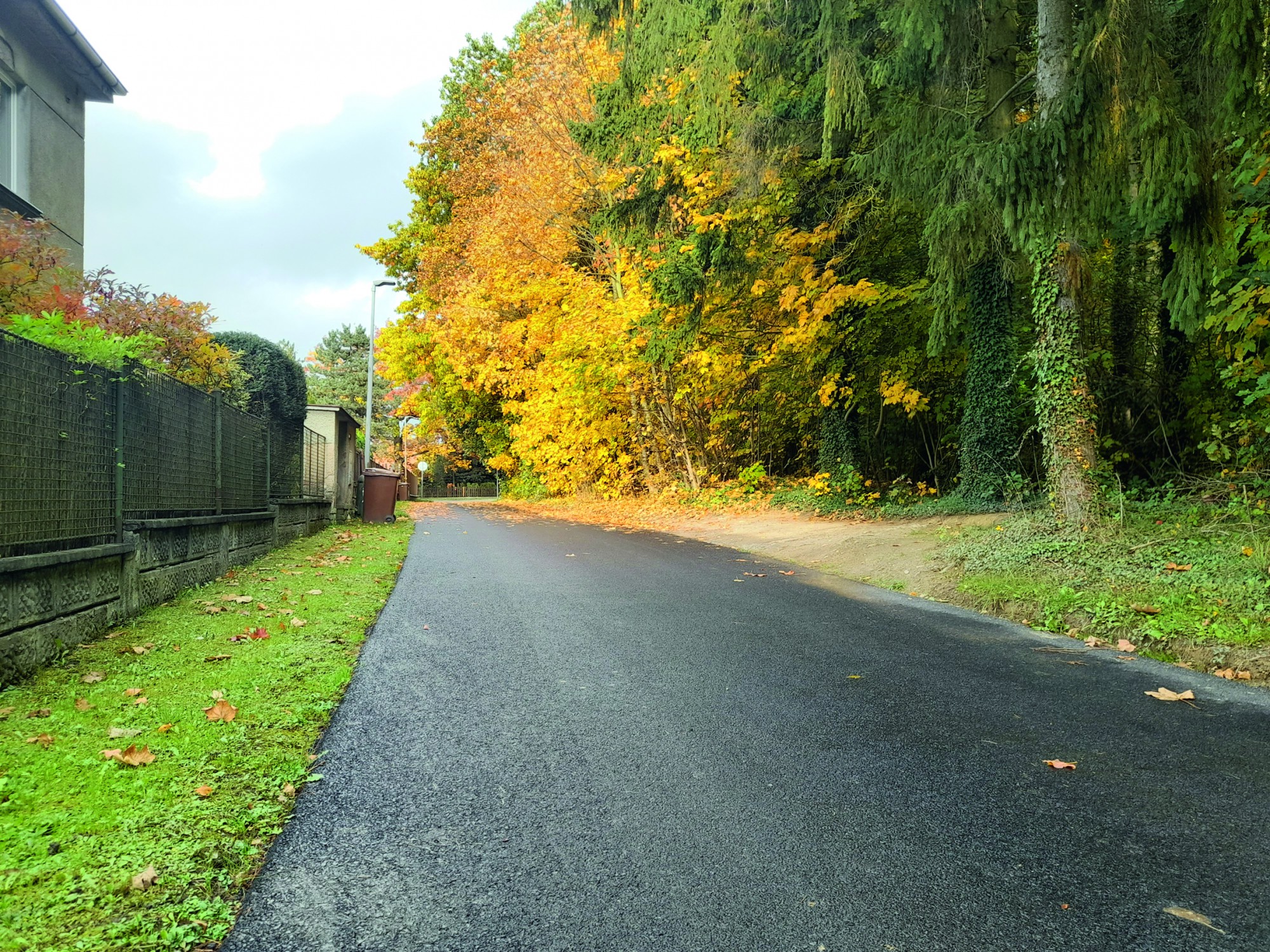 Ulice Sovova<BR>Technický stav komunikace se zhoršil během rekonstrukce ulice Černokostelecké, proto došlo k opravě. Práce provedla společnost Eurovia za cenu 548 192,86 Kč včetně DPH.