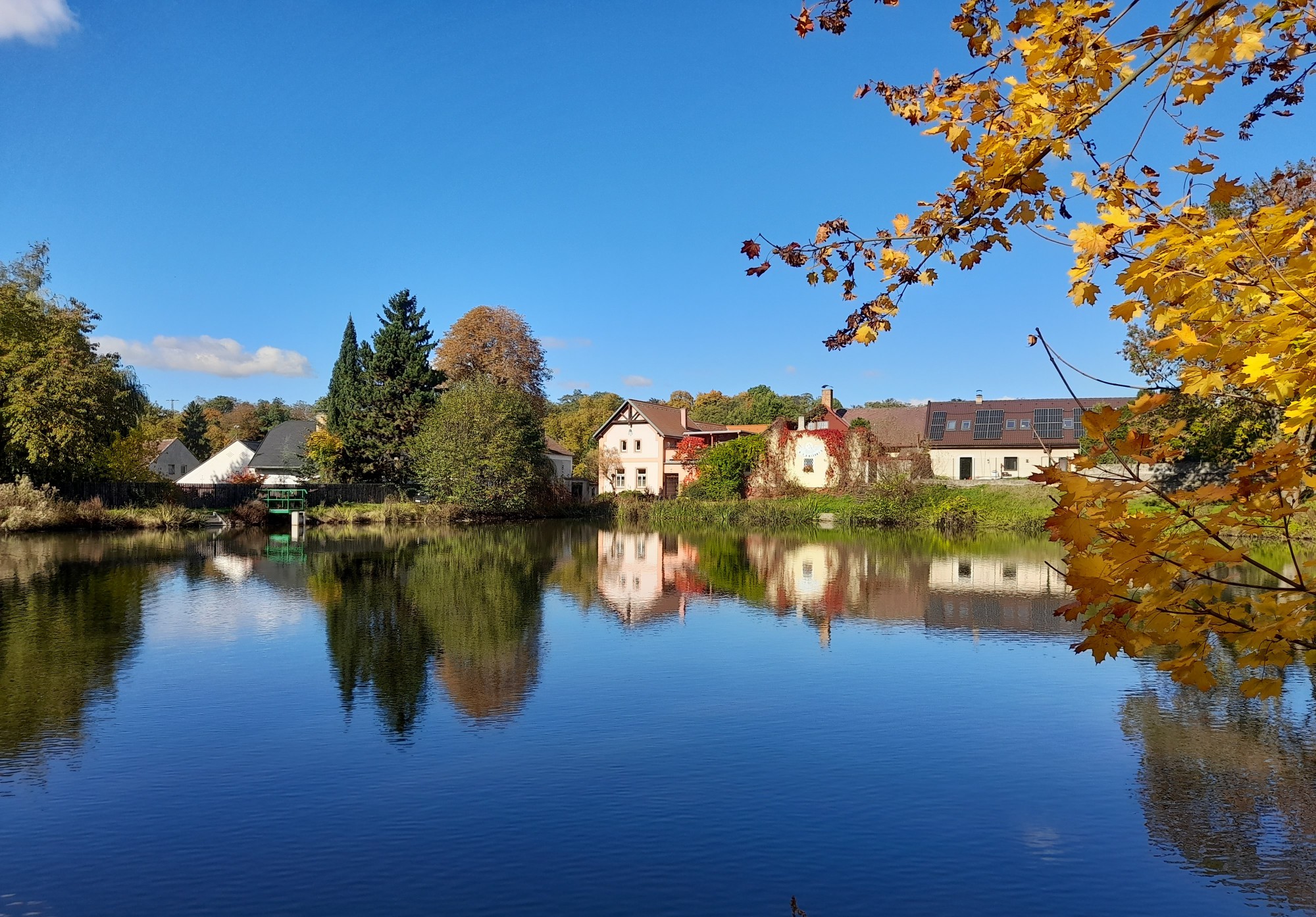 JANOVSKÝ RYBNÍK V KUŘÍ