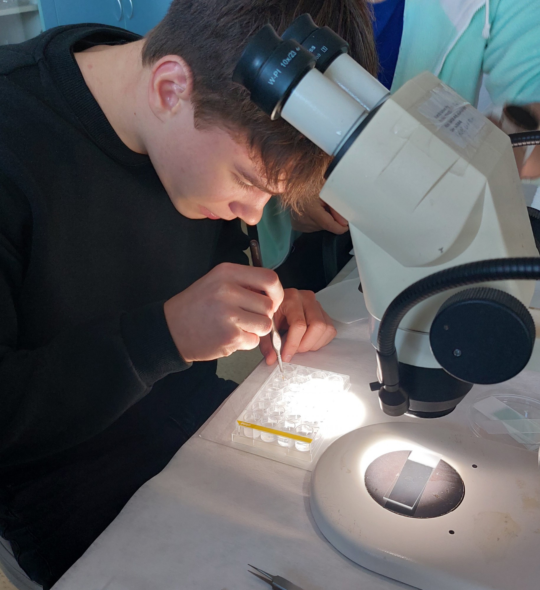 Ústav experimentální medicíny