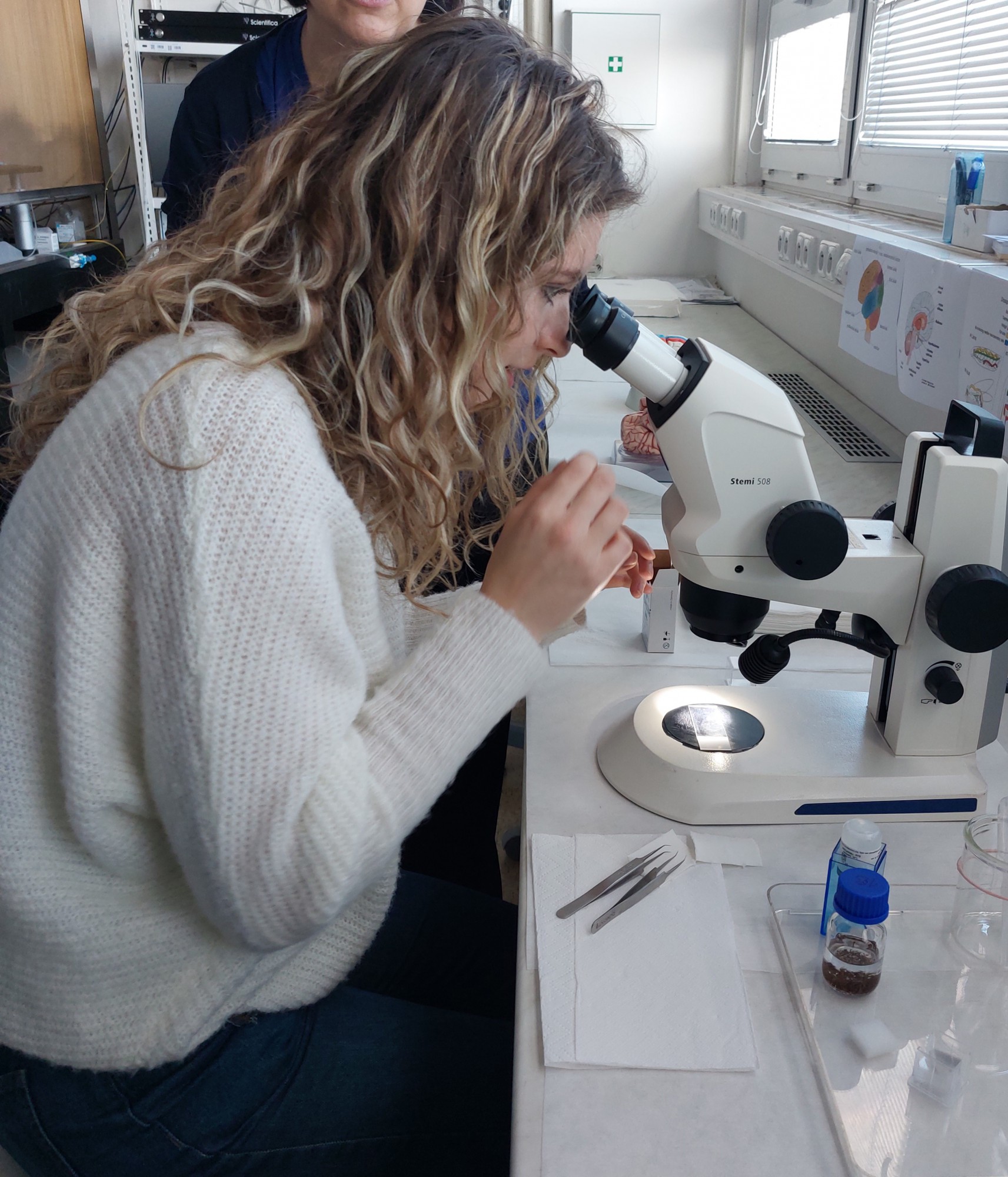 Fyziologický ústav