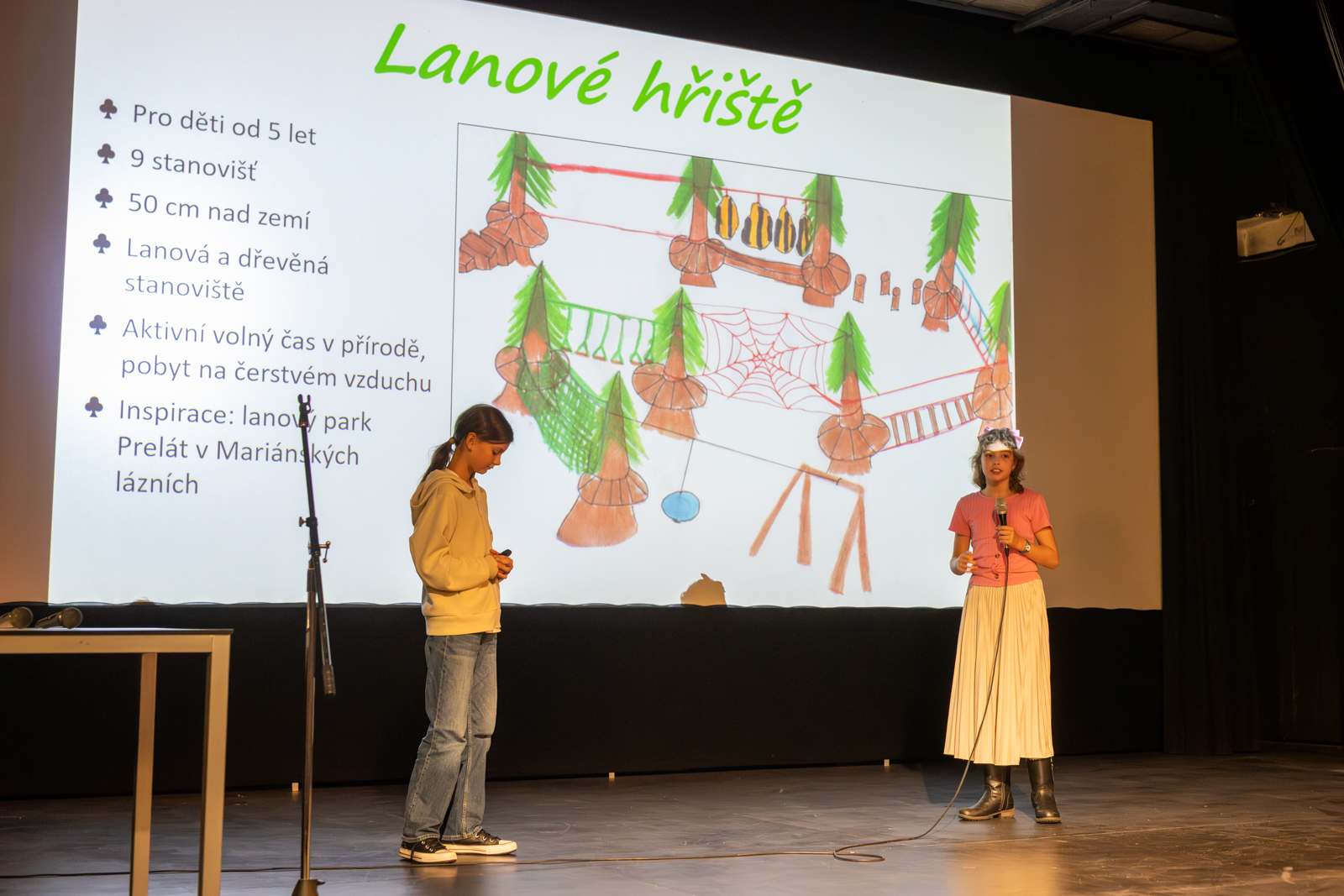 Na jevišti se postupně vystřídalo přes 30 dětí a studentů, kteří jako jednotlivci nebo v týmech představili 16 originálních nápadů, jak vylepšit život v Říčanech. Původně bylo přihlášeno 23 projektů, ale některé se během příprav spojily, jiné nesplnily všechna zadaná kritéria a dva autoři nakonec nedorazili na veřejnou prezentaci.