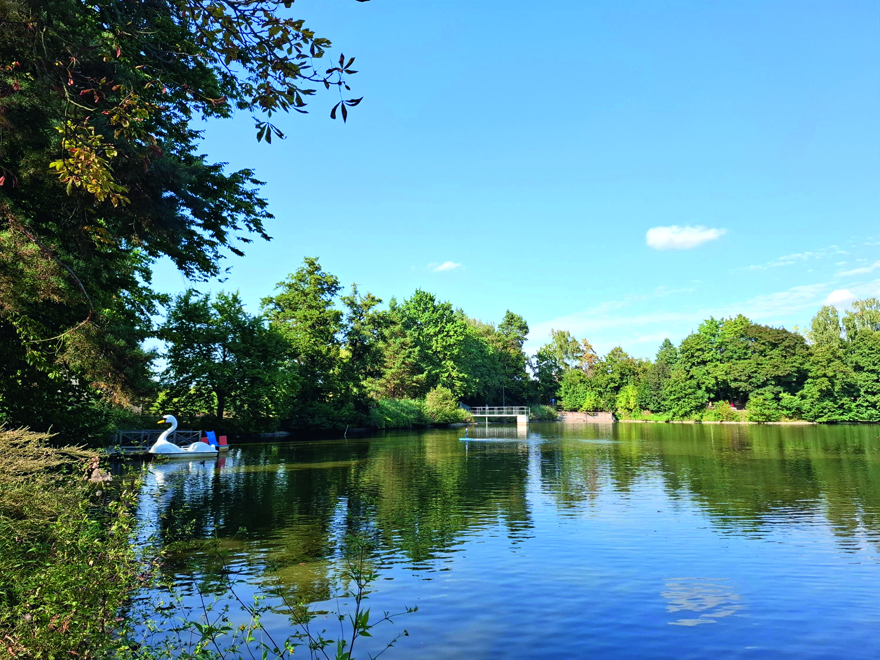 Zlepšení podmínek ke koupání v Jurečku a Marvánku<BR>Foto: Adéla Ambrožová