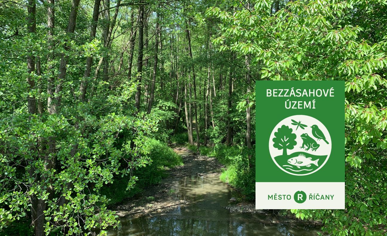 Svoboda přírodě - bezzásahová území u Říčan<BR>Foto: Adéla Ambrožová a Jan Pastejřík