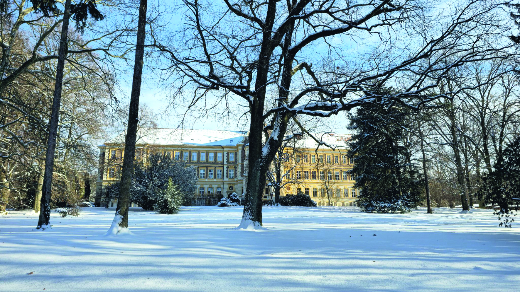 Olivova dětská léčebna