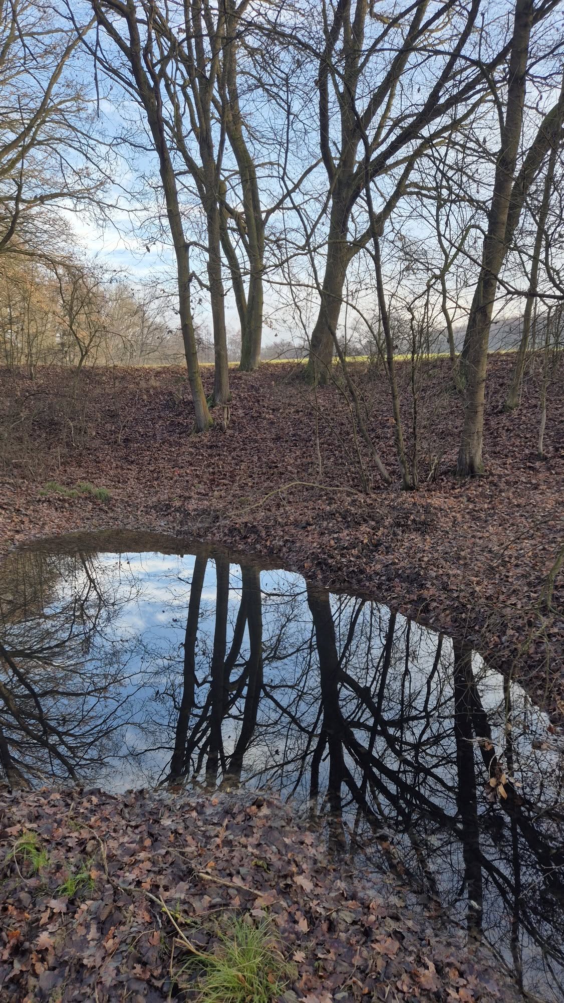 Nové tůně u staré vodárny  <BR>Zadržování vody v krajině je pro město prioritou, proto jsme vybudovali další nové tůně. Tentokrát nedaleko staré vodárny v Roklanské ulici.<BR>