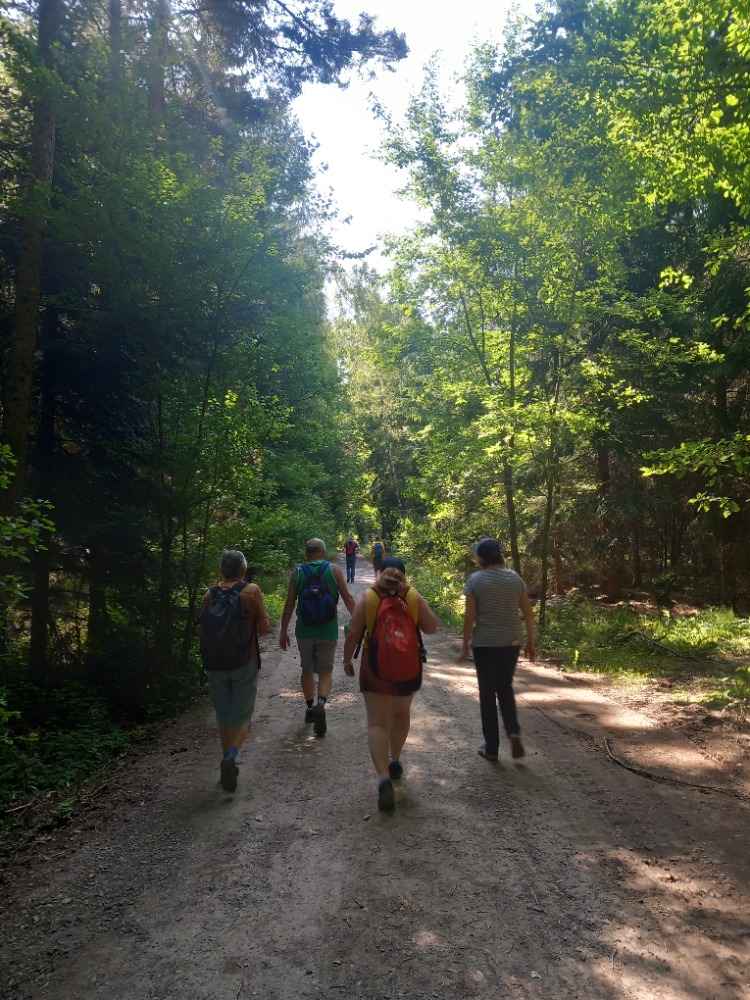 KRÁSNÉ POČASÍ DO ÚVAL