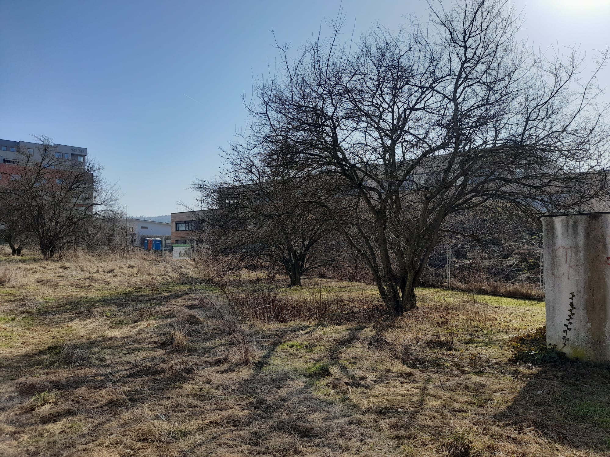 Park u nové školy<BR>Na Komenského náměstí u nové školy začínáme tvořit park. V první fázi zde vznikne příjemná travnatá plocha s lavičkami. Také počítáme s výsadbou nových stromů. Cestičky přijdou na řadu později – nejprve zjistíme, kudy lidé místem přirozeně procházejí a jaké směry dávají největší smysl.<BR>Parkovacích míst zde vybudujeme více než je současný stav. Předpokládané dokončení je do konce července.