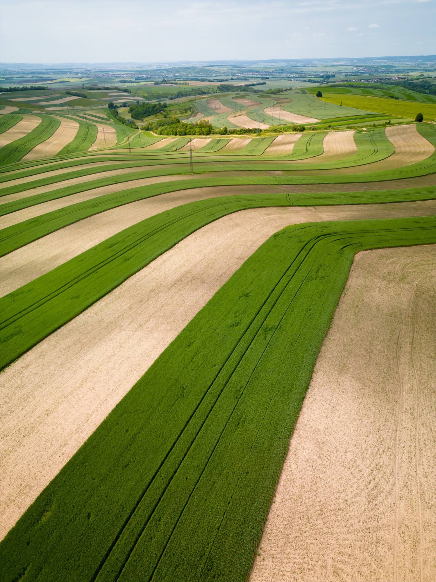 UKÁZKA PÁSOVÉHO HOSPODAŘENÍ
