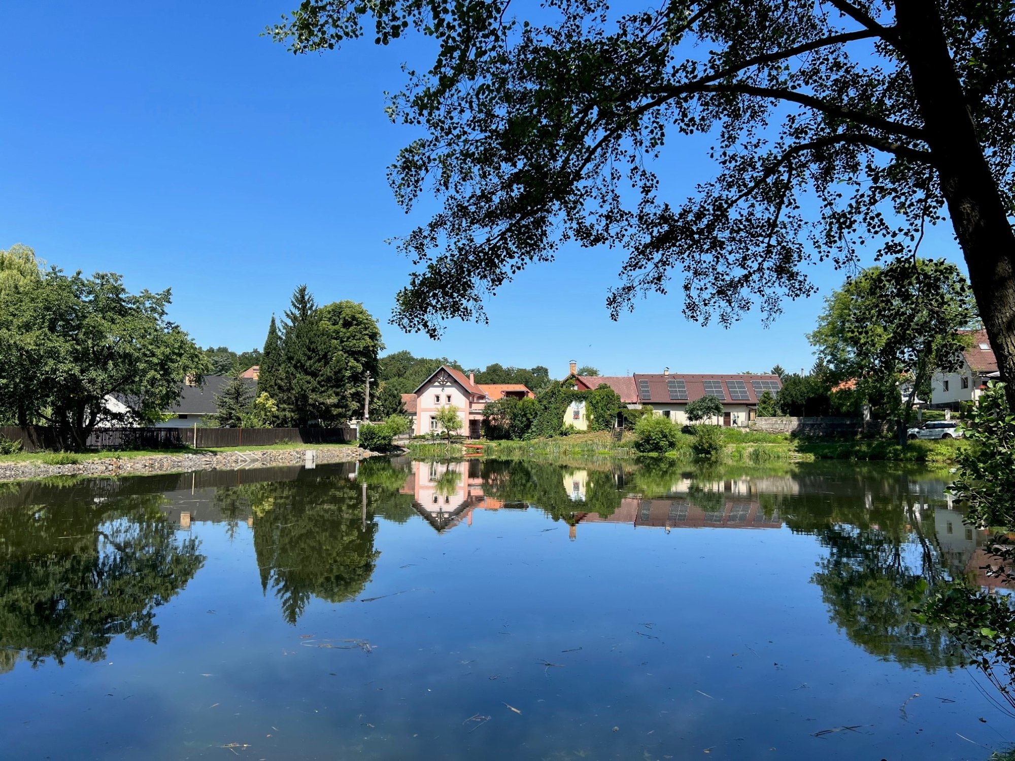 Kuří